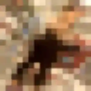 Photo sexy de Frederique, 20 ans à Coutances - rencontre sans lendemain