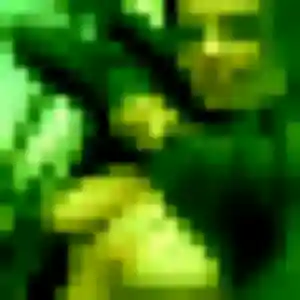 Jolie Lucie, 40 ans à Crégy-lès-Meaux - découvrir son profil