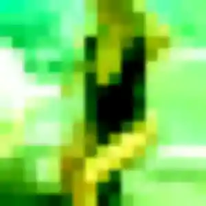 plan cul à Creil : profil de Stephanie, 39 ans - accès libre