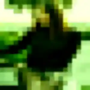 Cyrielle, 34 ans, en ligne à Cucq pour un plan cul