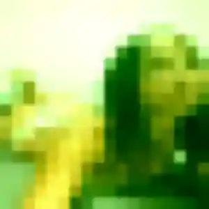 Rosemarie, 35 ans, en ligne à Cucq pour une rencontre coquine