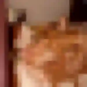 Uranie (37 ans) à Cusset propose une rencontre maintenant