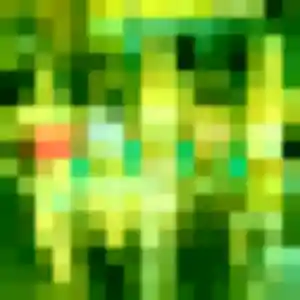 Azalee, 36 ans, veut un plan cul à Décines-Charpieu