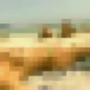 Jade de Décines-Charpieu, 36 ans - plan cul sans prise de tête