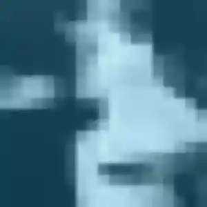 Photo de Paloma à Delle (41 ans) - plan cul anonyme