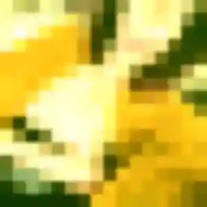 Profil de Brunehilde à Divion (22 ans) - plan cul sans inscription