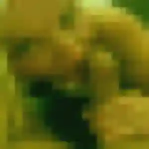 Photo de Clemence à Dol-de-Bretagne (25 ans) - plan cul anonyme