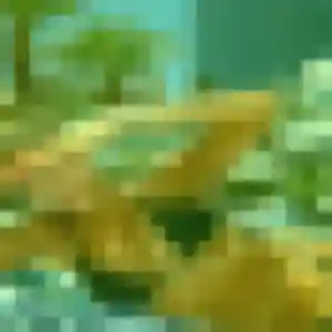 Profil de Mila à Dol-de-Bretagne (42 ans) - plan cul anonyme