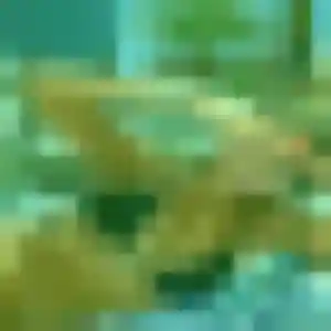 Rose-Marie, femme de 25 ans cherche plan cul à Dombasle-sur-Meurthe