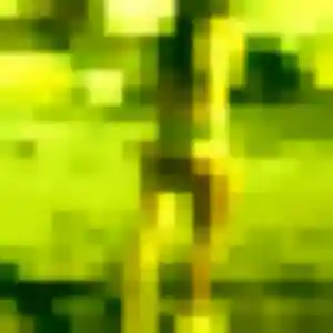 Lucienne, 28 ans, connectée à Domène pour un plan cul