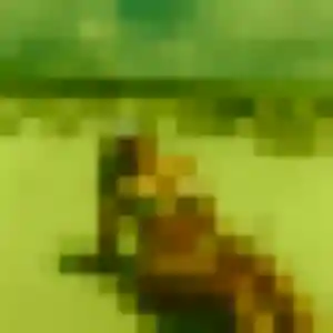 Découvre Anna, 30 ans à Donzère en t'inscrivant