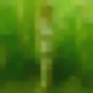 Rejoins Nicole, 24 ans à Douchy-les-Mines en t'inscrivant