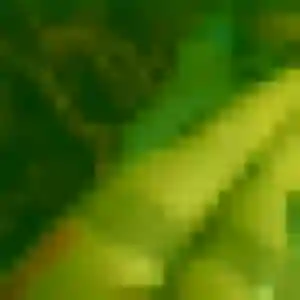 Jolie Frederique, 29 ans à Drancy - voir sa photo