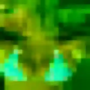 plan cul à Dunkerque : profil de Graziella, 22 ans - accès libre