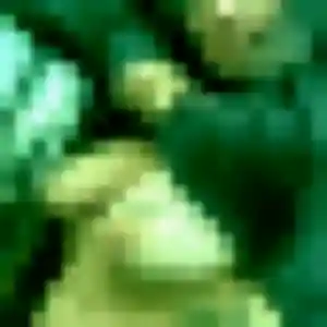 Contacte Cassandre, 24 ans à Elne en t'inscrivant