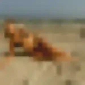 Elena, 26 ans, dispo pour plan cul à Enghien-les-Bains