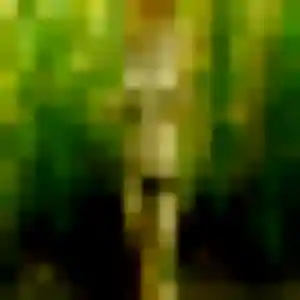 Jolie Prisca, 26 ans à Entre-Deux - découvrir son profil