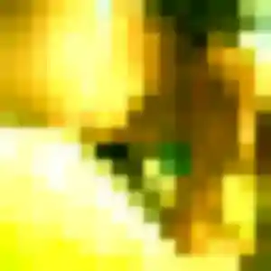 Rebecca (37 ans) à Epagny Metz-Tessy cherche un plan cul aujourd'hui