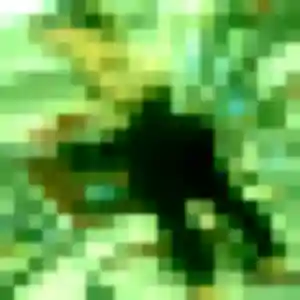 Priscilla (27 ans) à Épernon attend une rencontre aujourd'hui