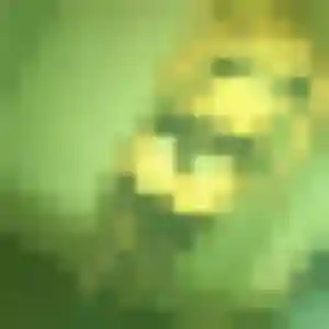 Photo de Pauline à Ernée (25 ans) - plan cul anonyme