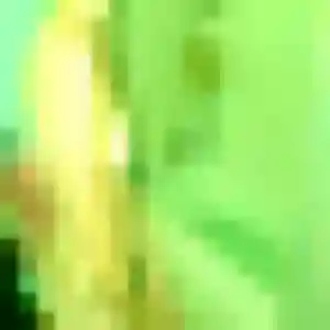 Cyrielle, femme de 33 ans propose plan cul à Essarts-en-Bocage