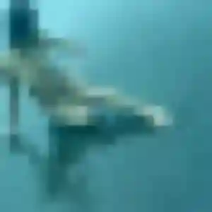 Cyrielle, 24 ans, veut un plan cul à Évry-Courcouronnes