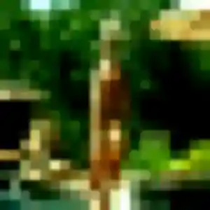 Belle Josephine, 36 ans à Fécamp - la contacter