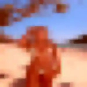 Photo exclusive de Apolline, 39 ans à Fegersheim - rencontre coquine