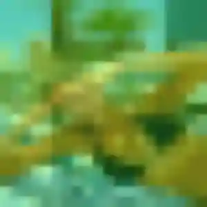 Profil de Judith à Feytiat (45 ans) - plan cul gratuit