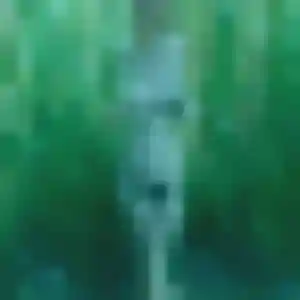 Photo exclusive de Lily, 39 ans à Fleurance - plan discret