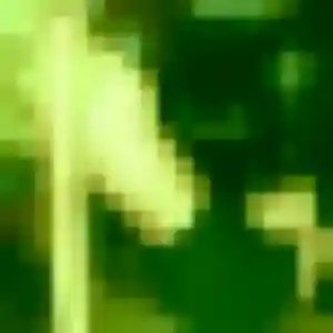 plan cul à Florange : photo de Severine, 29 ans - inscription gratuite