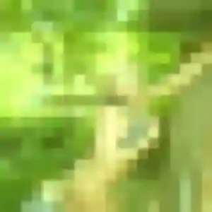 Catherine, fille de 30 ans cherche plan cul à Fontainebleau