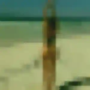 Découvre Morgane, 23 ans à Fontenay-le-Comte en t'inscrivant