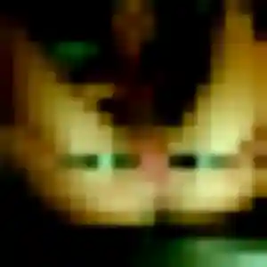 Sara, 31 ans, dispo pour plan cul à Fontenay-le-Comte