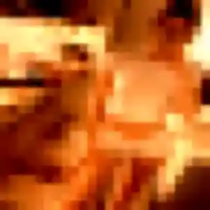 Profil de Touria à Forbach (21 ans) - plan cul gratuit