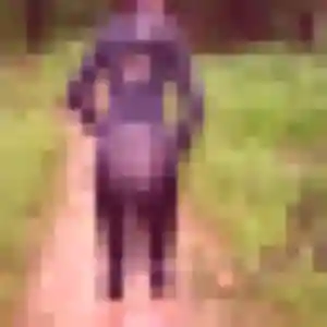 Photo de Fatima à Fougères (42 ans) - plan cul gratuit