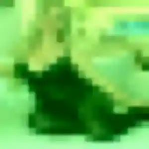 Photo exclusive de Wahiba, 27 ans à Fougères - rencontre sans lendemain