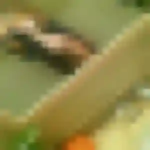 Rencontre Yvette, 26 ans à Fourmies en privé