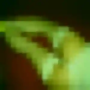 Charmante Maud, 35 ans à Gaillard - voir sa photo