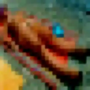 Charmante Sophie, 26 ans à Gannat - découvrir son profil