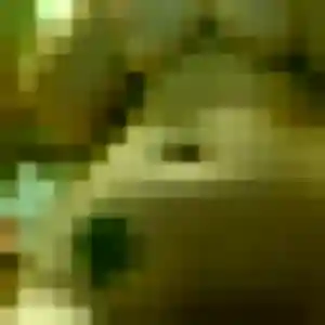 Photo de Siham à Garéoult (21 ans) - plan cul gratuit