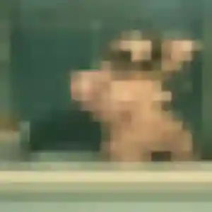 Jocelyne, fille de 25 ans veut plan cul à Gargenville