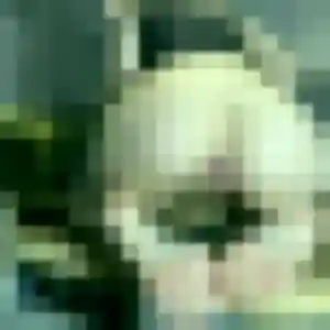 plan cul à Garges-lès-Gonesse : photo de Iris, 37 ans - sans engagement