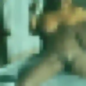 Joanne, femme de 39 ans propose plan cul à Gémenos