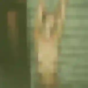 Rosemarie, femme de 24 ans propose plan cul à Genas