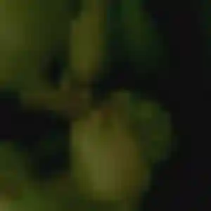 Photo perso de Lea, 36 ans à Gières - rencontre coquine