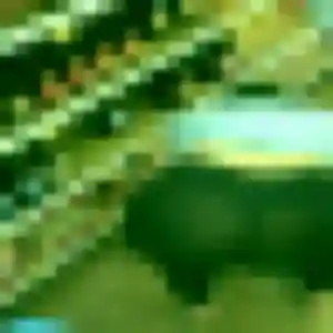 Photo sexy de Diane, 19 ans à Gignac-la-Nerthe - plan discret