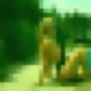 Photo privée de Aisha, 40 ans à Gisors - rencontre sans lendemain