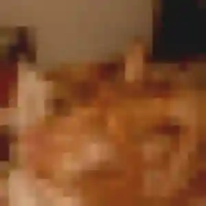 Khadija de Givet, 44 ans - plan cul sans prise de tête