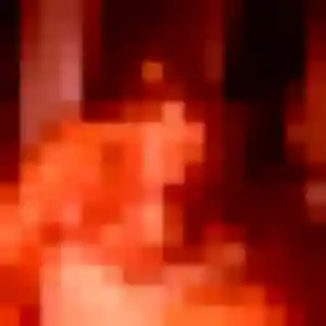 plan cul à Gonfreville-l'Orcher : profil de Doriane, 36 ans - inscription gratuite